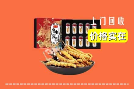 上海市杨浦回收冬虫夏草